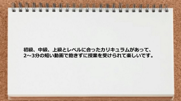 初級、中級、上級とレベルに合ったカリキュラムがあって短い動画で飽きず学習できる。
